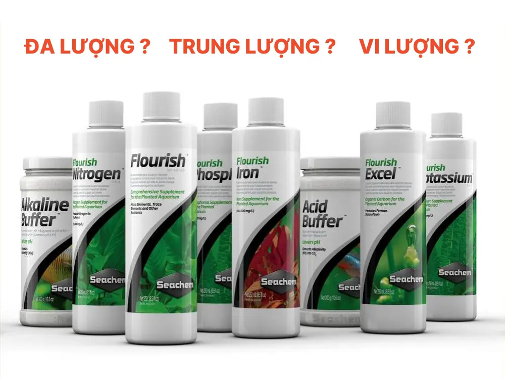 Đa lượng, trung lượng và vi lượng là gì ?