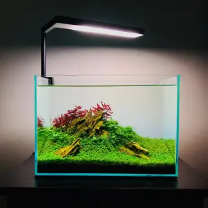 Đèn thủy sinh Oceanus Aqua